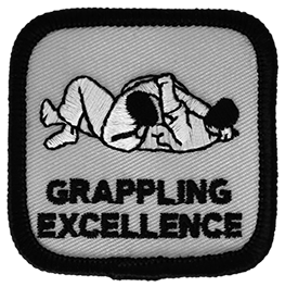 Grappling Excellence Intermediate Level
