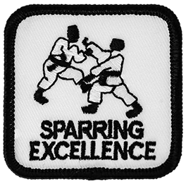 Sparring Excellence Beginner Level