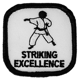 Striking Excellence Beginner Level